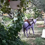 Maslina شقة *
