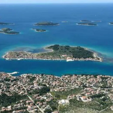 Maslina * Brodarica (Sibenik-Knin)