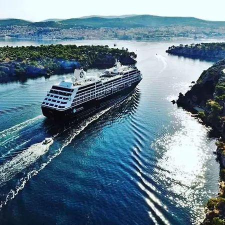 Maslina Brodarica (Sibenik-Knin)