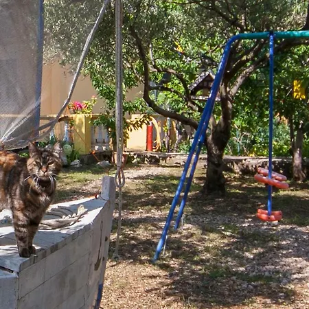Apartman Maslina Brodarica (Sibenik-Knin)