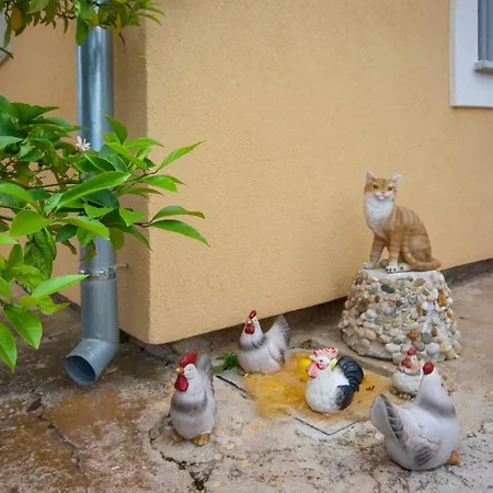 Maslina * Brodarica (Sibenik-Knin)