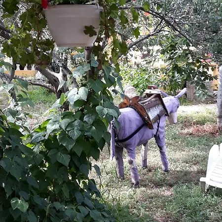 Maslina Apartman *