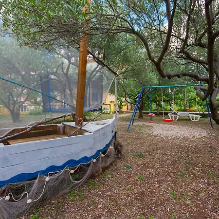 Maslina * Brodarica (Sibenik-Knin)