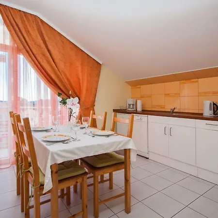 Maslina 布罗达里卡