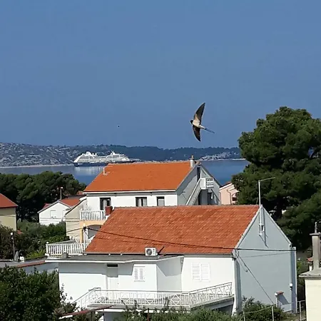 Maslina Brodarica (Sibenik-Knin)