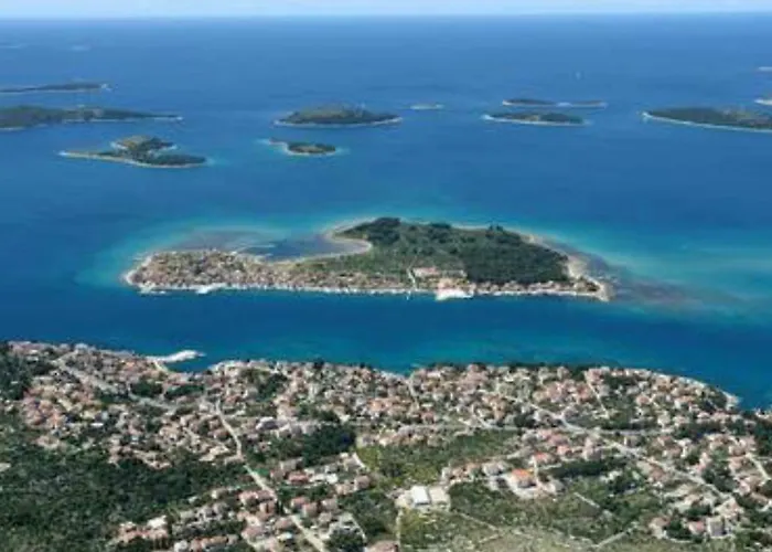 Maslina * ברודאריצה