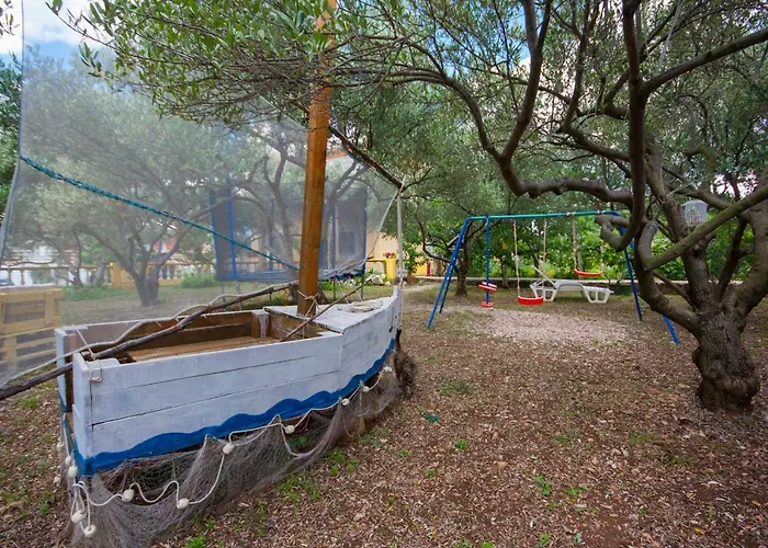 Maslina * ברודאריצה