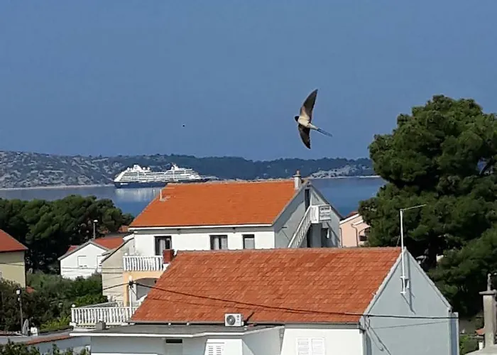 Maslina ברודאריצה